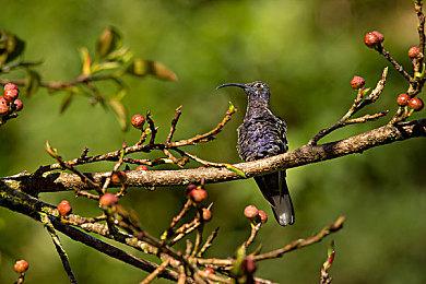 《光环：无限》最新测试版大幅优化性能模式表现